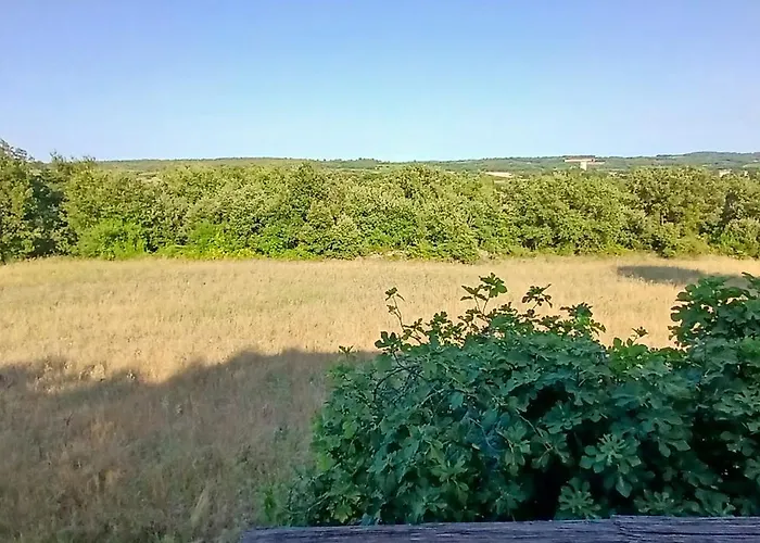 Maison Avec Piscine 펜션